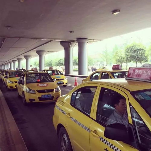 重慶出租車(chē)行業(yè)警示 拒載行為將面臨嚴(yán)厲處罰