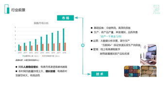 打通農(nóng)村商品上下行 農(nóng)村電商項目商業(yè)計劃書范文解析與案例分享